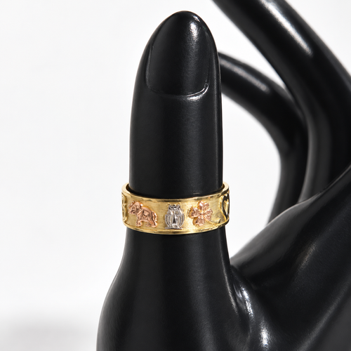 Anillo de la suerte