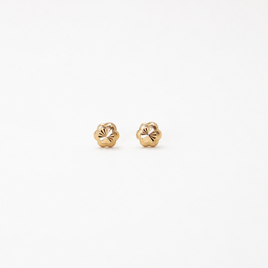 Aretes Flor Destello