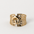 Anillo Vórtice de Florencia
