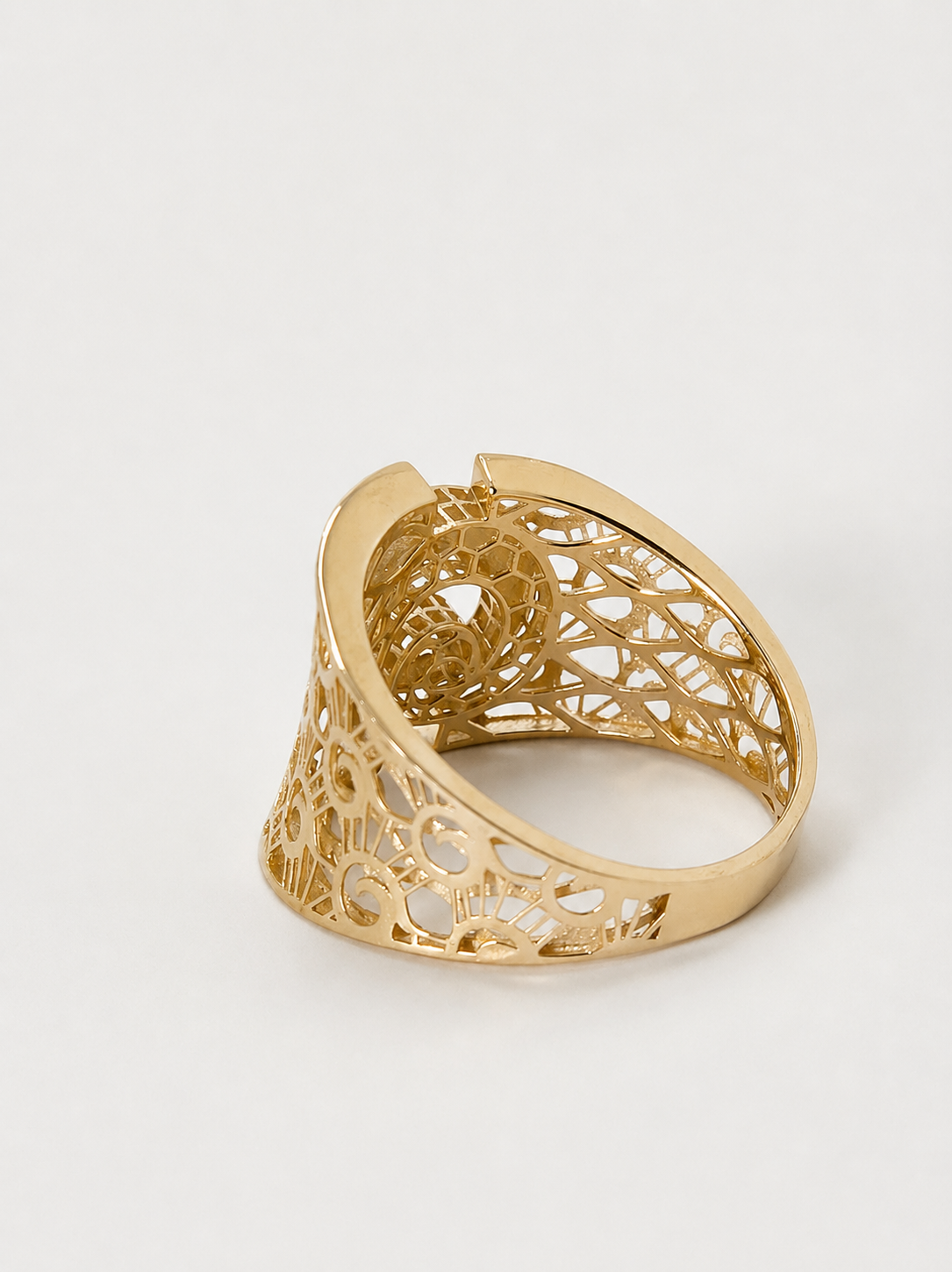 Anillo Vórtice de Florencia